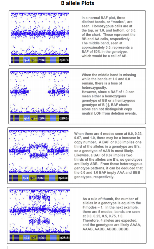 Figure 19: B allele Frequency Plots